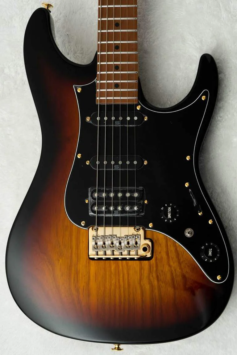 Ibanez AZ2204AG-TFB · Tri Fade Burst · Actual instrument: angled body view two