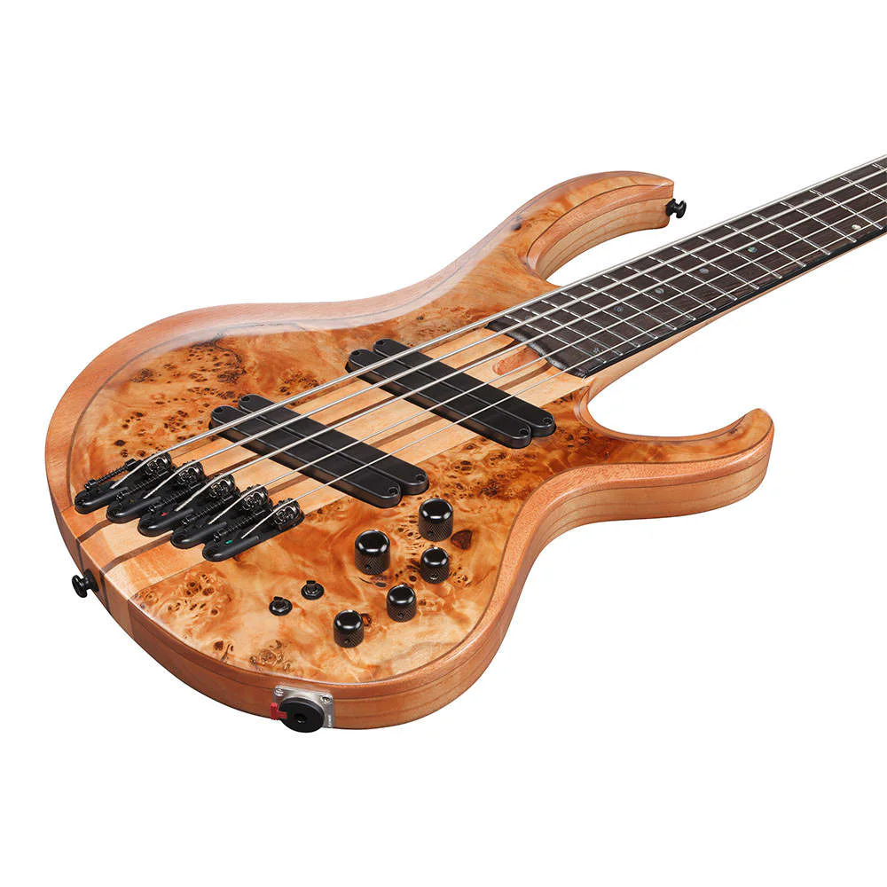 Ibanez BTB805MS-FNL · Florid Natural Low Gloss · Manufacturer model reference: angled body view
