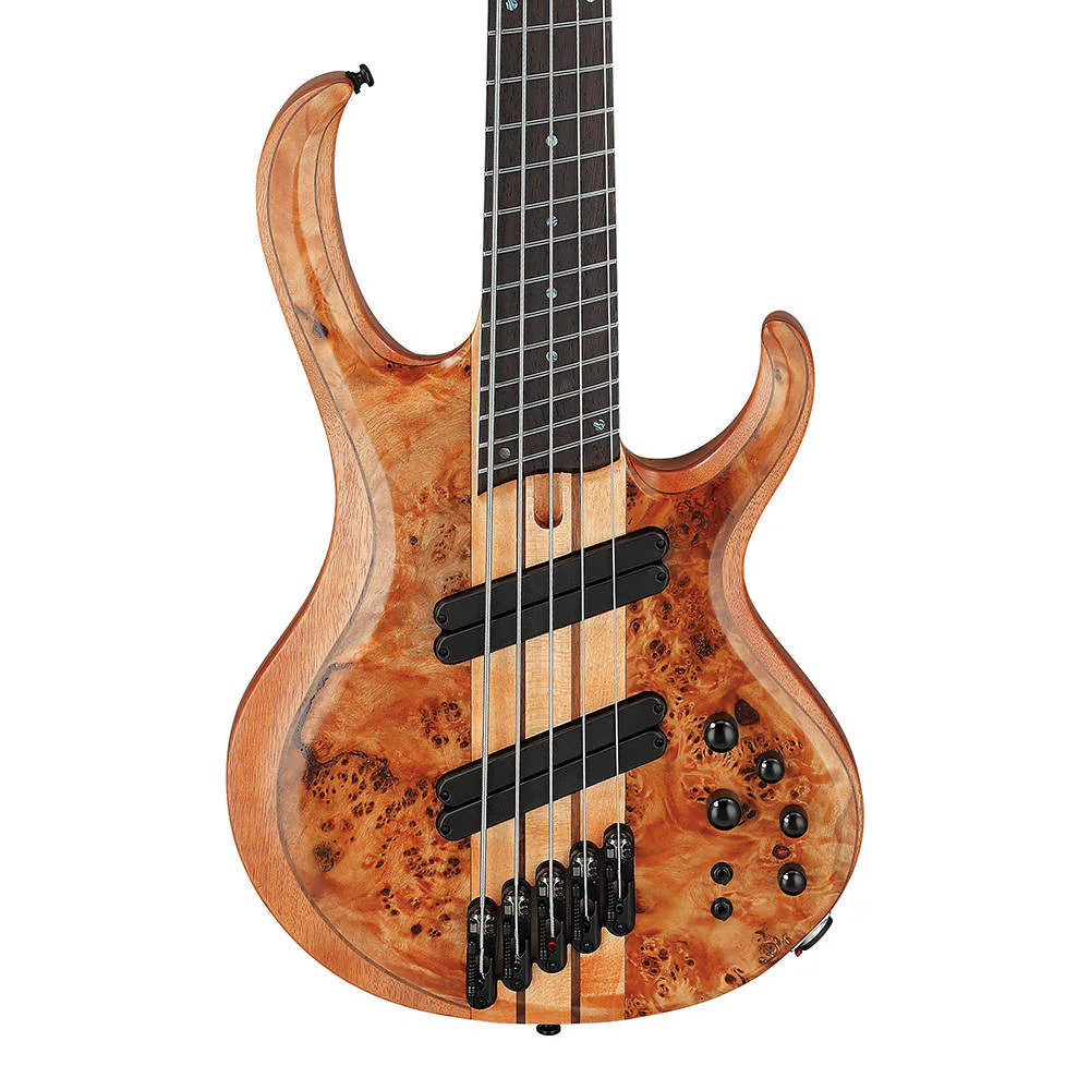 Ibanez BTB805MS-FNL · Florid Natural Low Gloss · Manufacturer model reference: body front