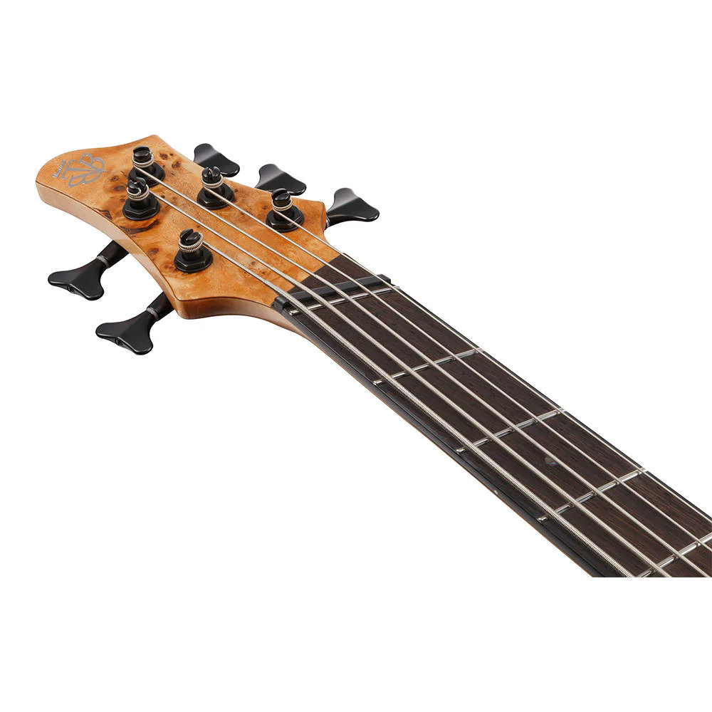 Ibanez BTB805MS-FNL · Florid Natural Low Gloss · Manufacturer model reference: angled headstock front