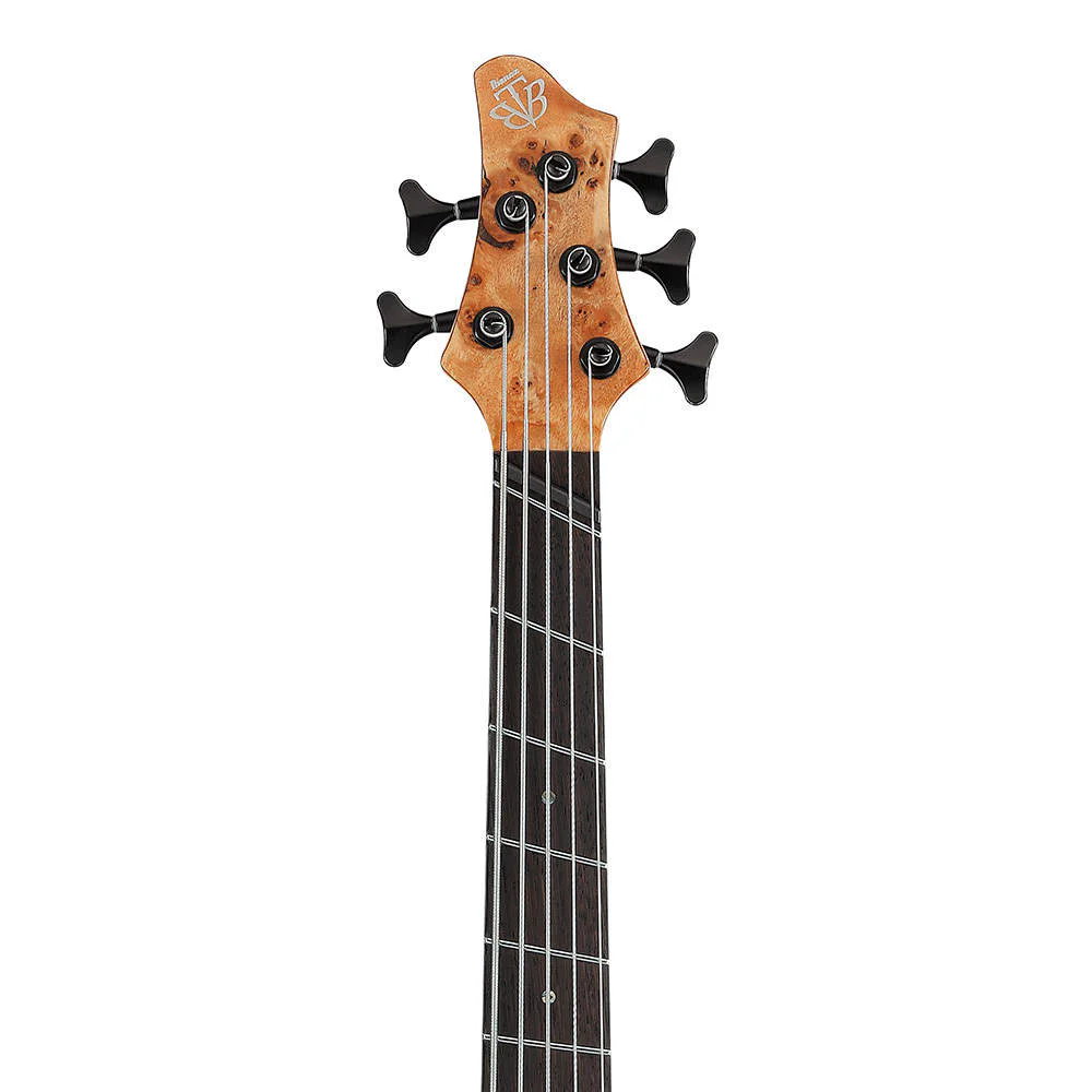 Ibanez BTB805MS-FNL · Florid Natural Low Gloss · Manufacturer model reference: headstock front