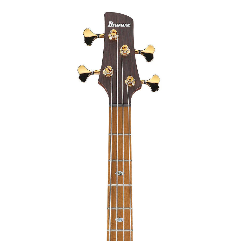 Ibanez SR4500-DST · Desert Sunset Burst · 厂商型号参考图：琴头正面