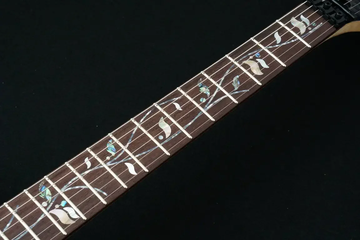 Ibanez j.custom RG8870 · Black Rutile · SG-0041 · Actual instrument detail