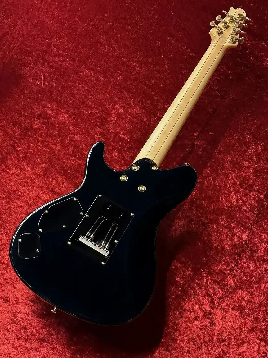 Sugi DS7IR EM/ASH · AQB · Instrument photo 11