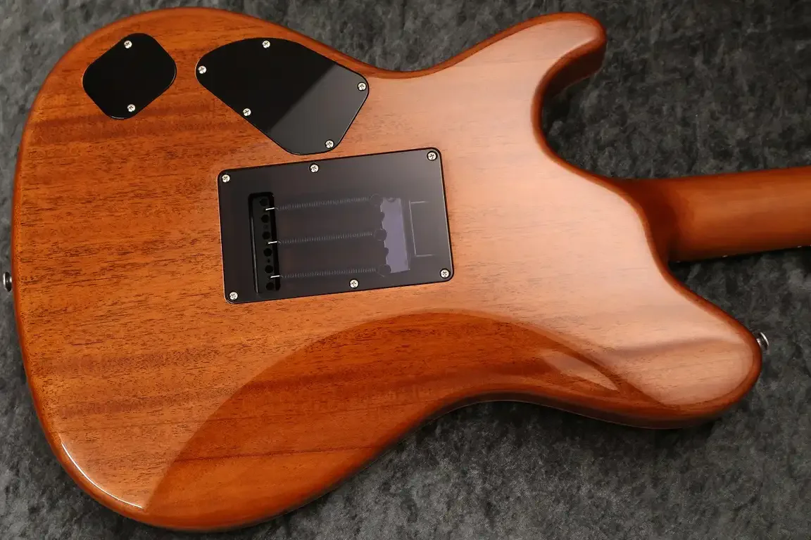 Sugi Custom Order Set Neck DS496SIR ECM F.Maho · Cherry Sunburst · Instrument photo 11
