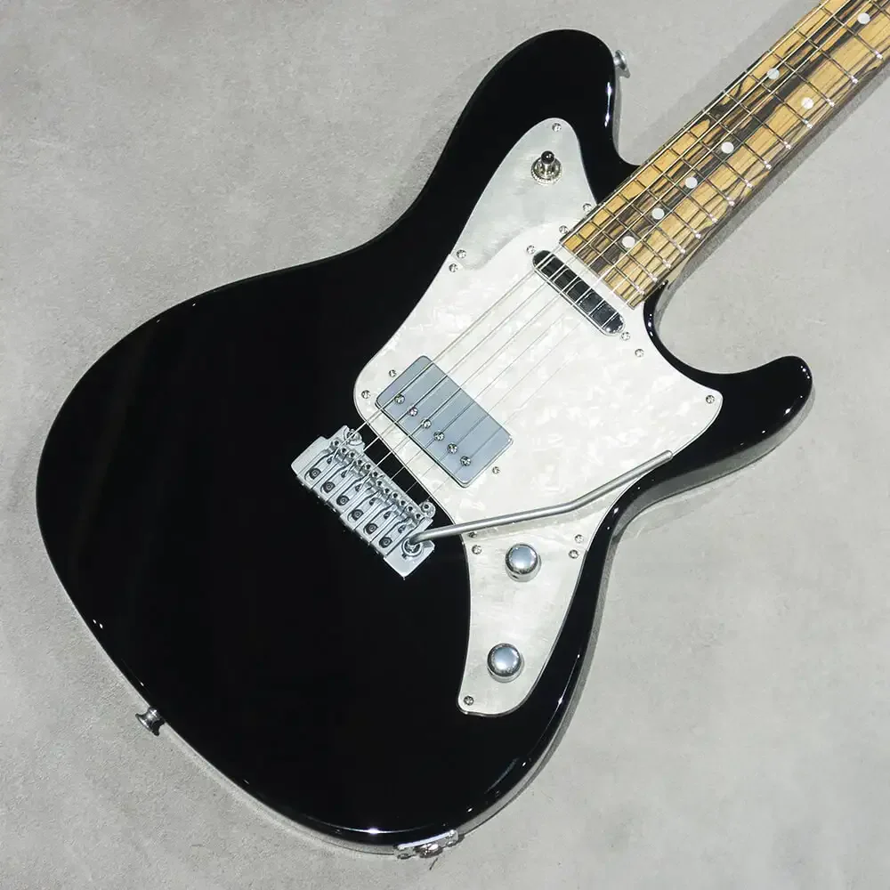 Sugi DS499B&W SL-ALD/HM/TH · BK · Instrument photo 2