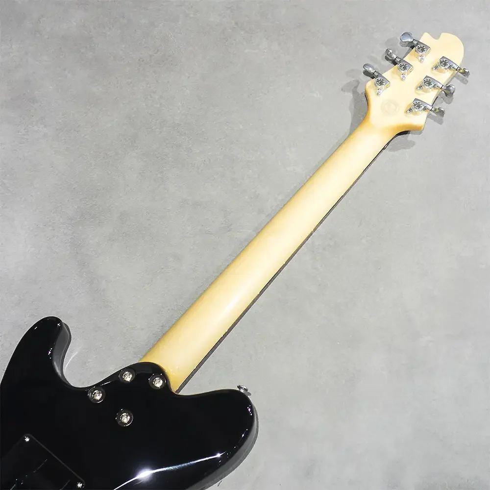 Sugi DS499B&W SL-ALD/HM/TH · BK · Instrument photo 5