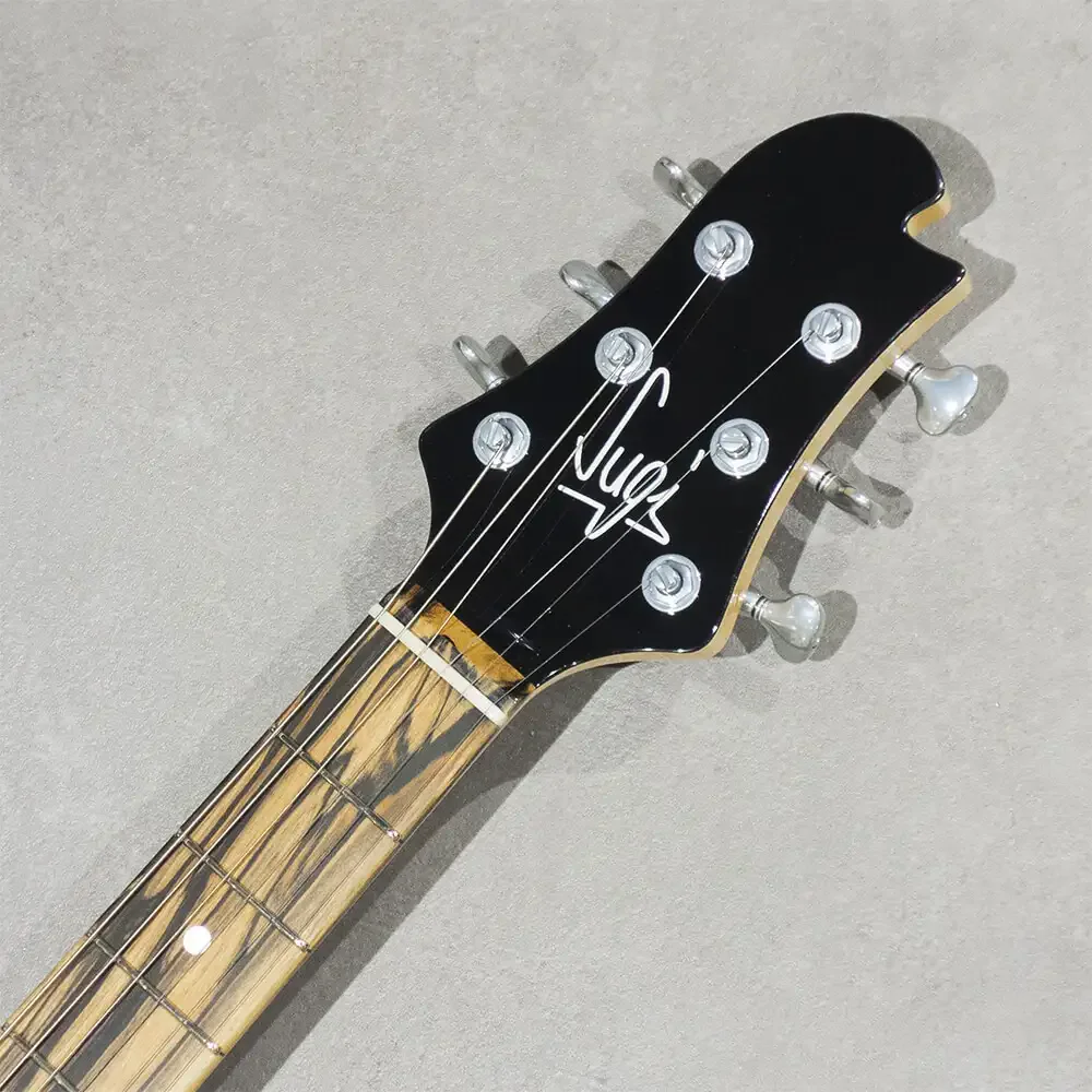 Sugi DS499B&W SL-ALD/HM/TH · BK · Instrument photo 7