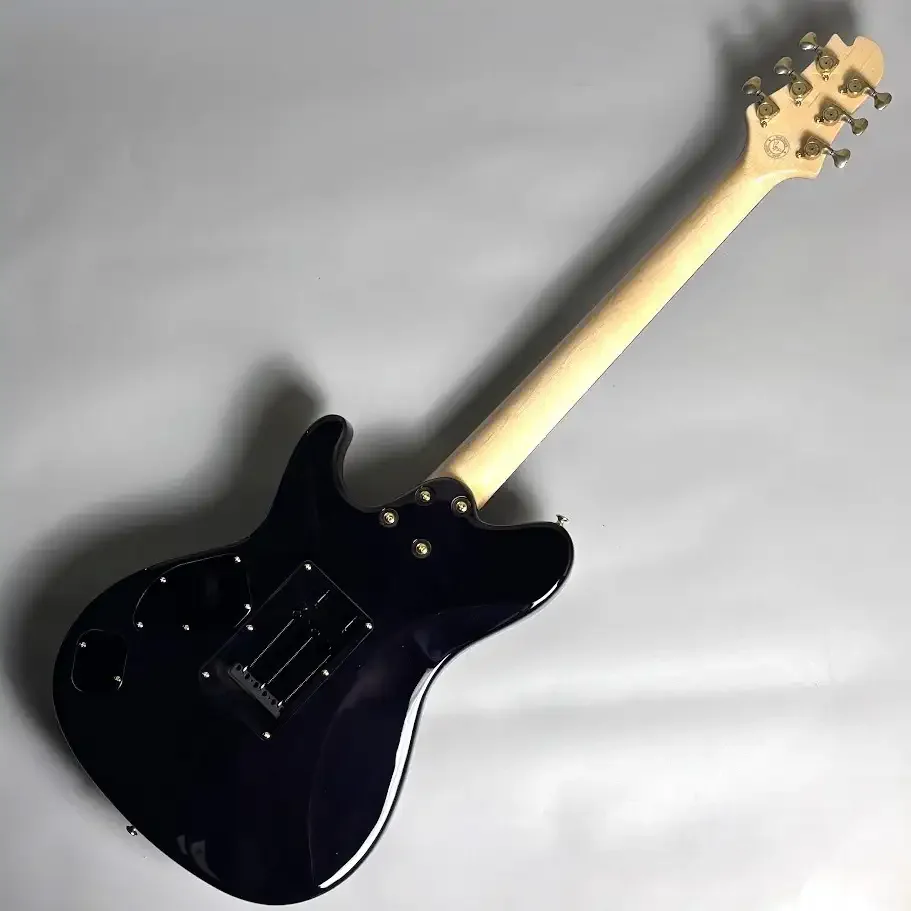 Sugi DS496IR BM-PRM1P/HM/B-ALD2P · Blue Grotto · Instrument photo 5