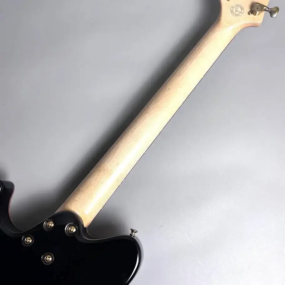 Sugi DS496IR BM-PRM1P/HM/B-ALD2P · Blue Grotto · Instrument photo 7
