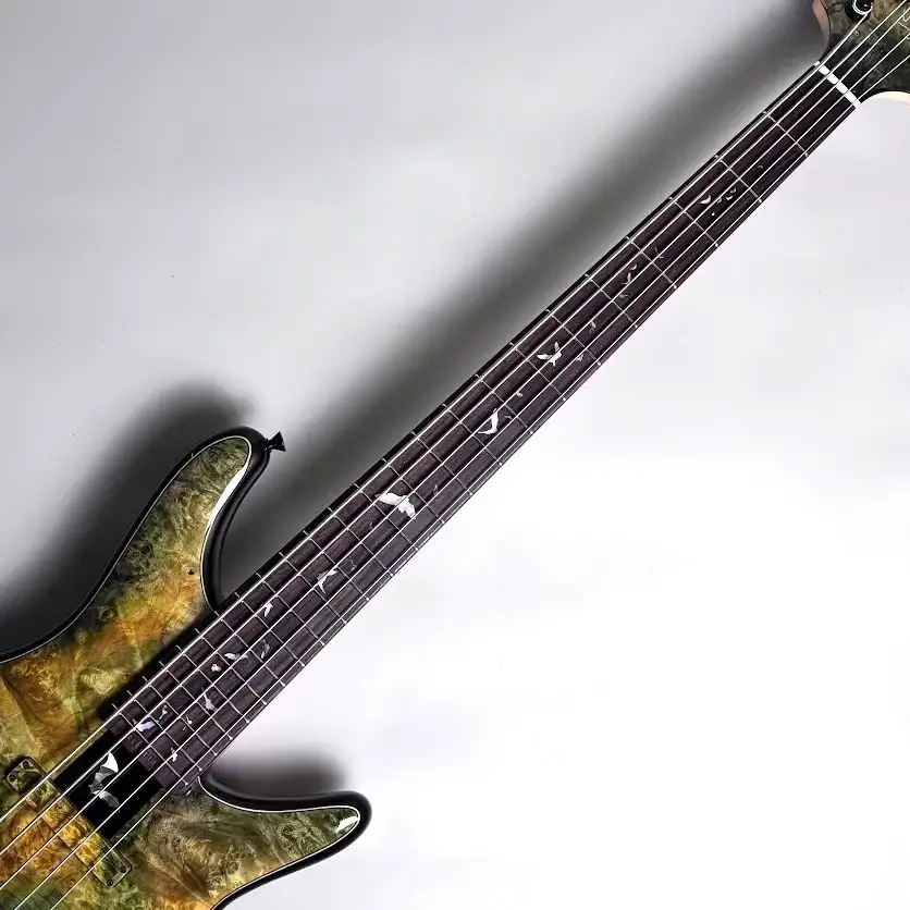 Sugi NB5IR BM-EX/ASH2P · Deep Forest Green · Instrument photo 6