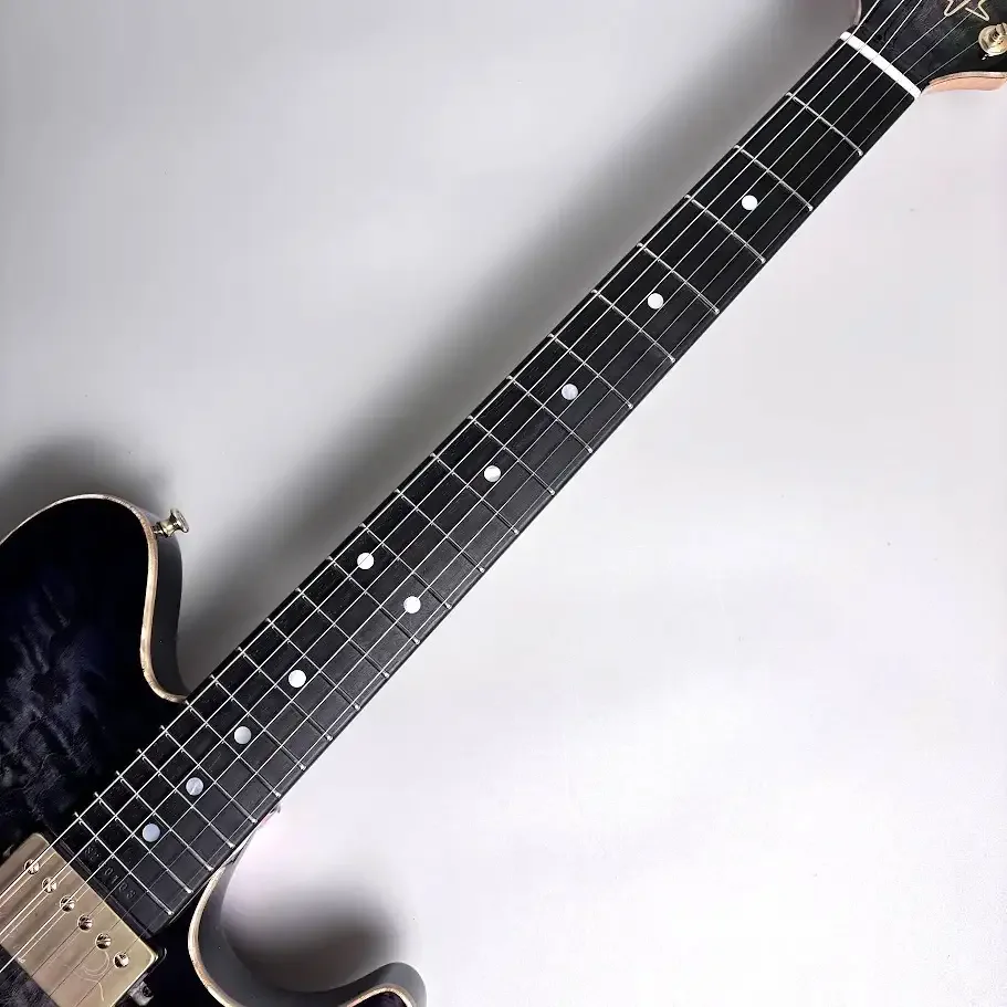 Sugi DS496E Japanese Ash/HM/ALD2P · Seethroublackburst · Instrument photo 7