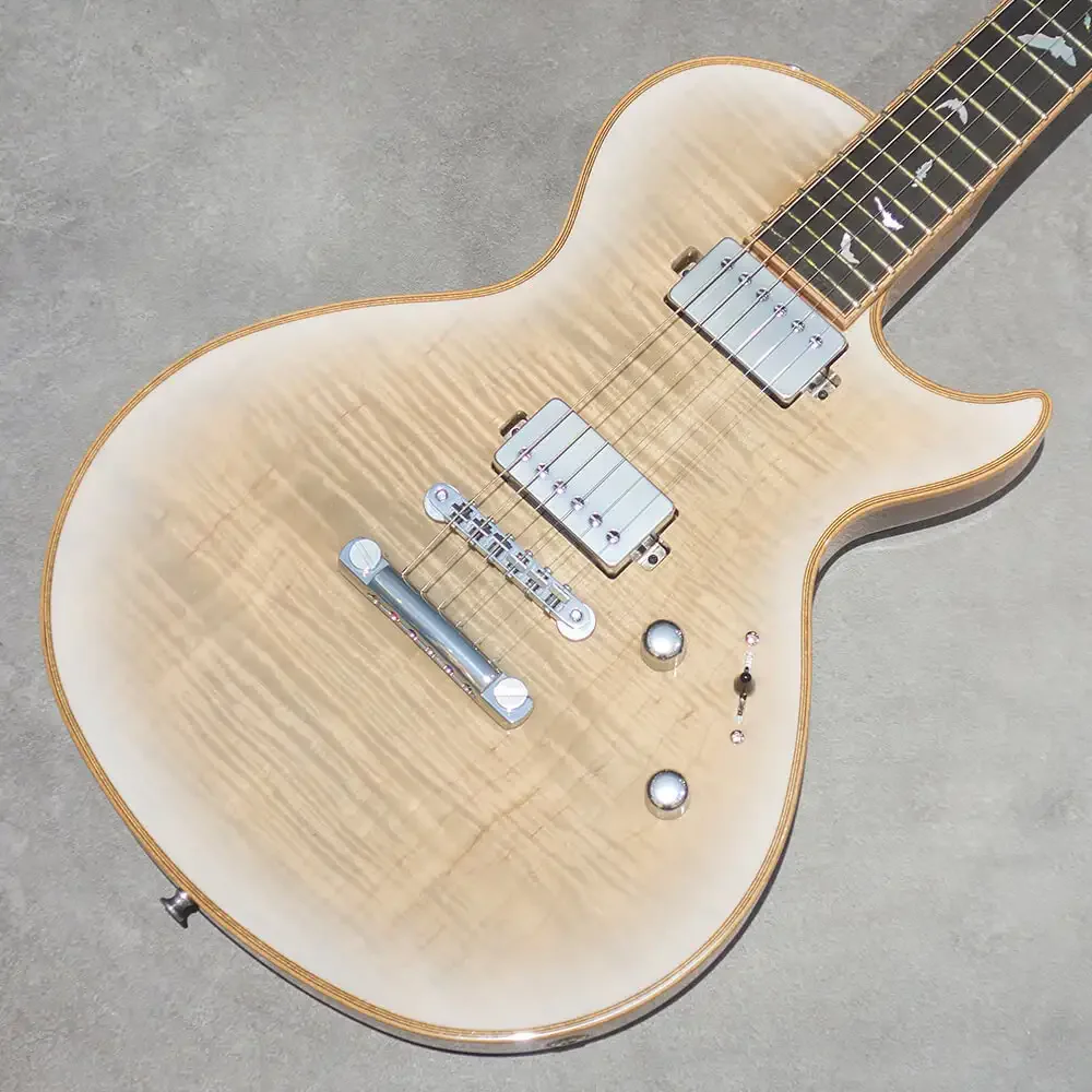 Sugi SH485E ECM/F-MAHO · IWHB · Instrument photo 2