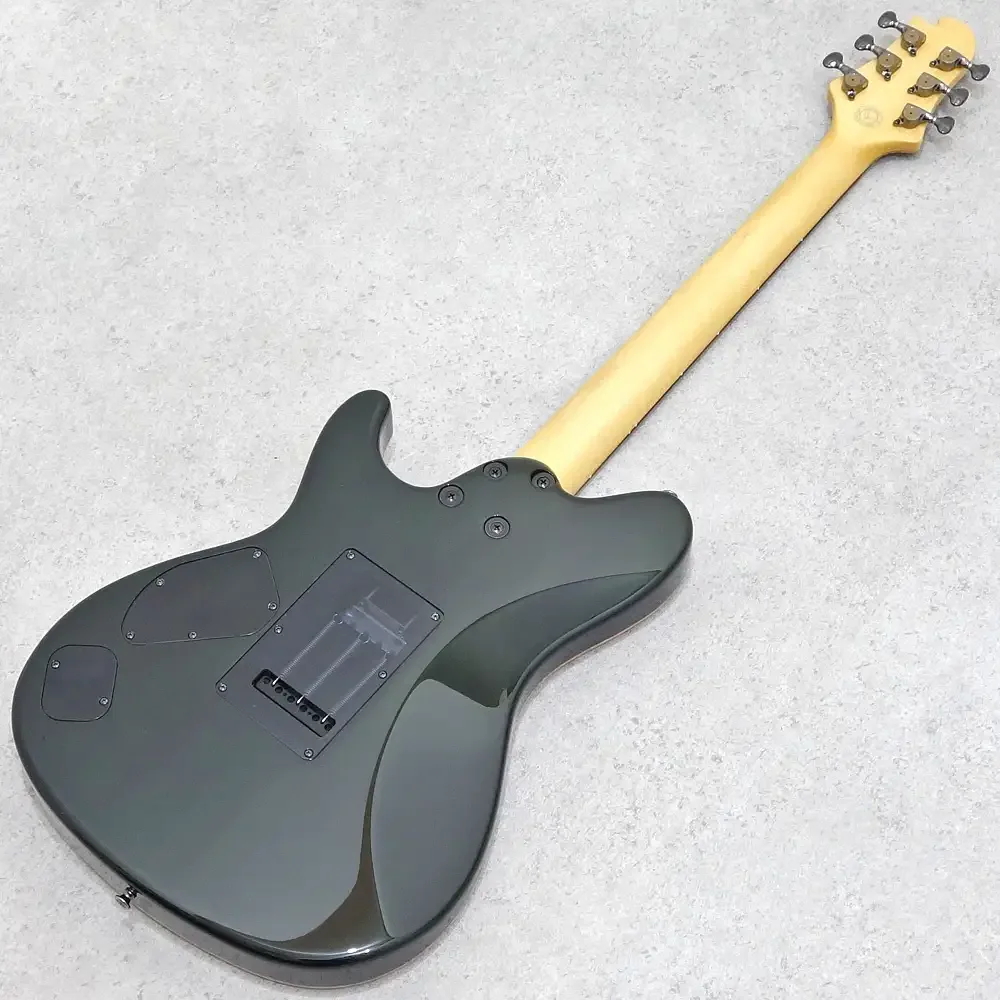Sugi DH496C BM-PRM/HM/F-MAHO2P · LLG · Instrument photo 4