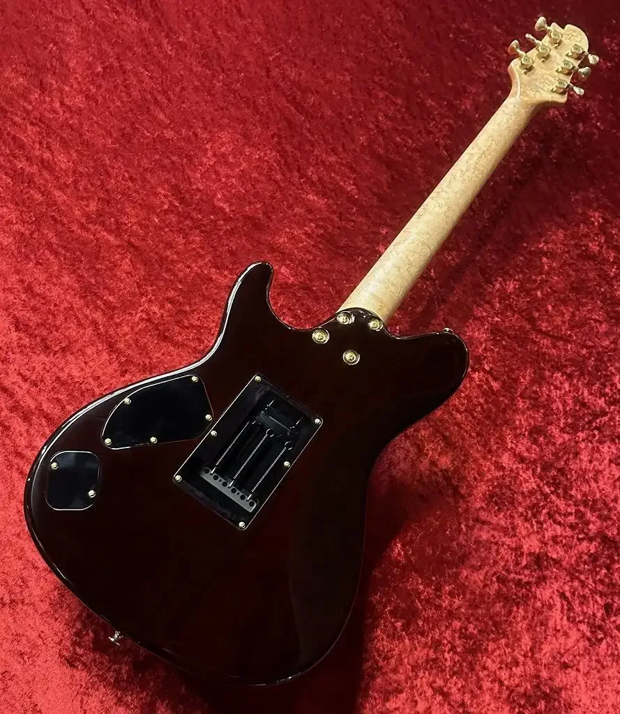 Sugi DS496C 6AQM/BEM/ASH2P · TRSP · Instrument photo 10