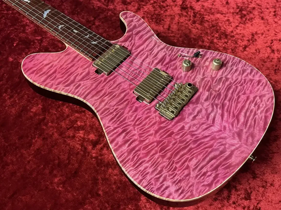 Sugi DS496C 6AQM/BEM/ASH2P · TRSP · Instrument photo 3