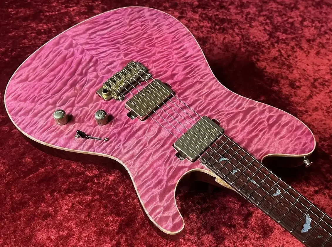 Sugi DS496C 6AQM/BEM/ASH2P · TRSP · Instrument photo 4