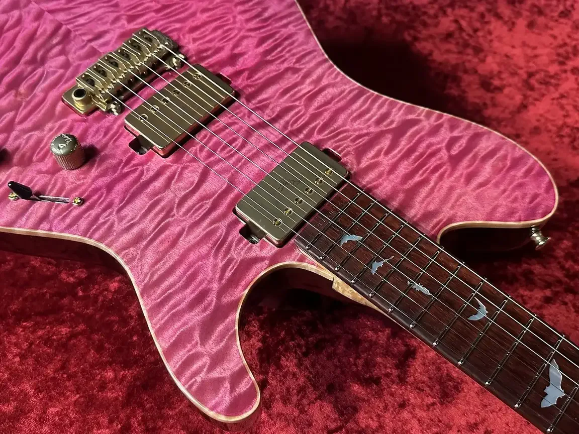 Sugi DS496C 6AQM/BEM/ASH2P · TRSP · Instrument photo 5