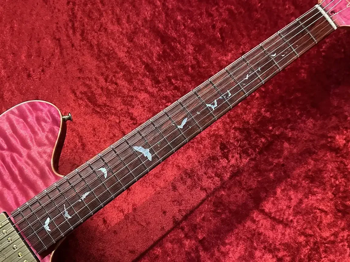 Sugi DS496C 6AQM/BEM/ASH2P · TRSP · Instrument photo 7