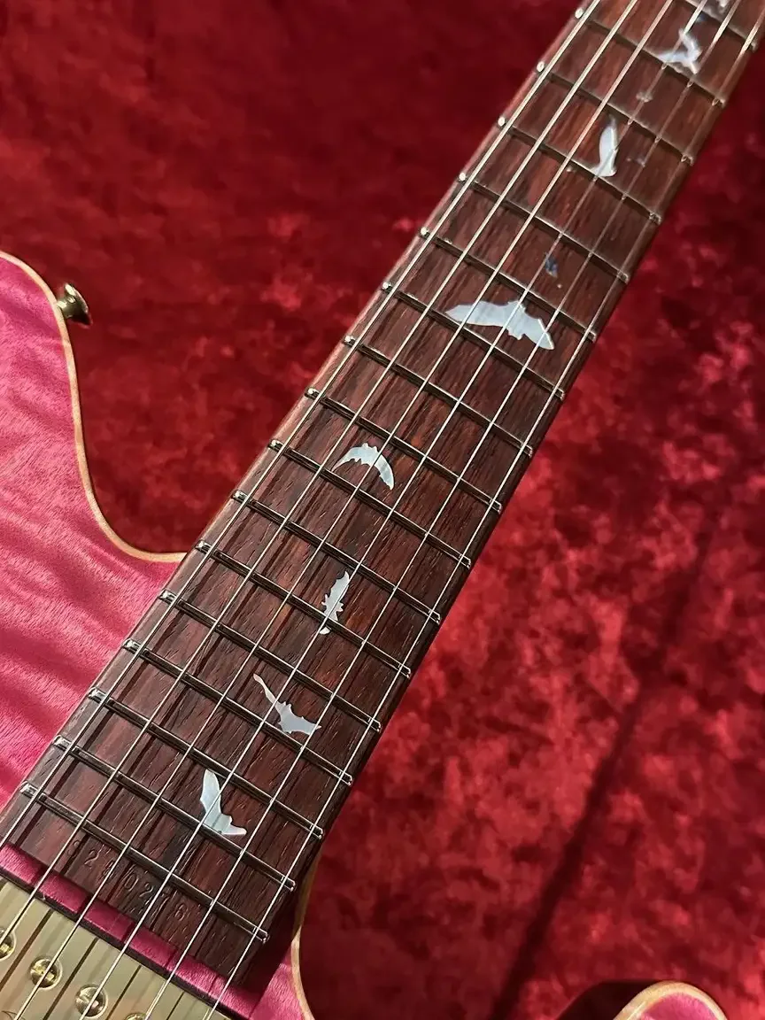 Sugi DS496C 6AQM/BEM/ASH2P · TRSP · Instrument photo 8