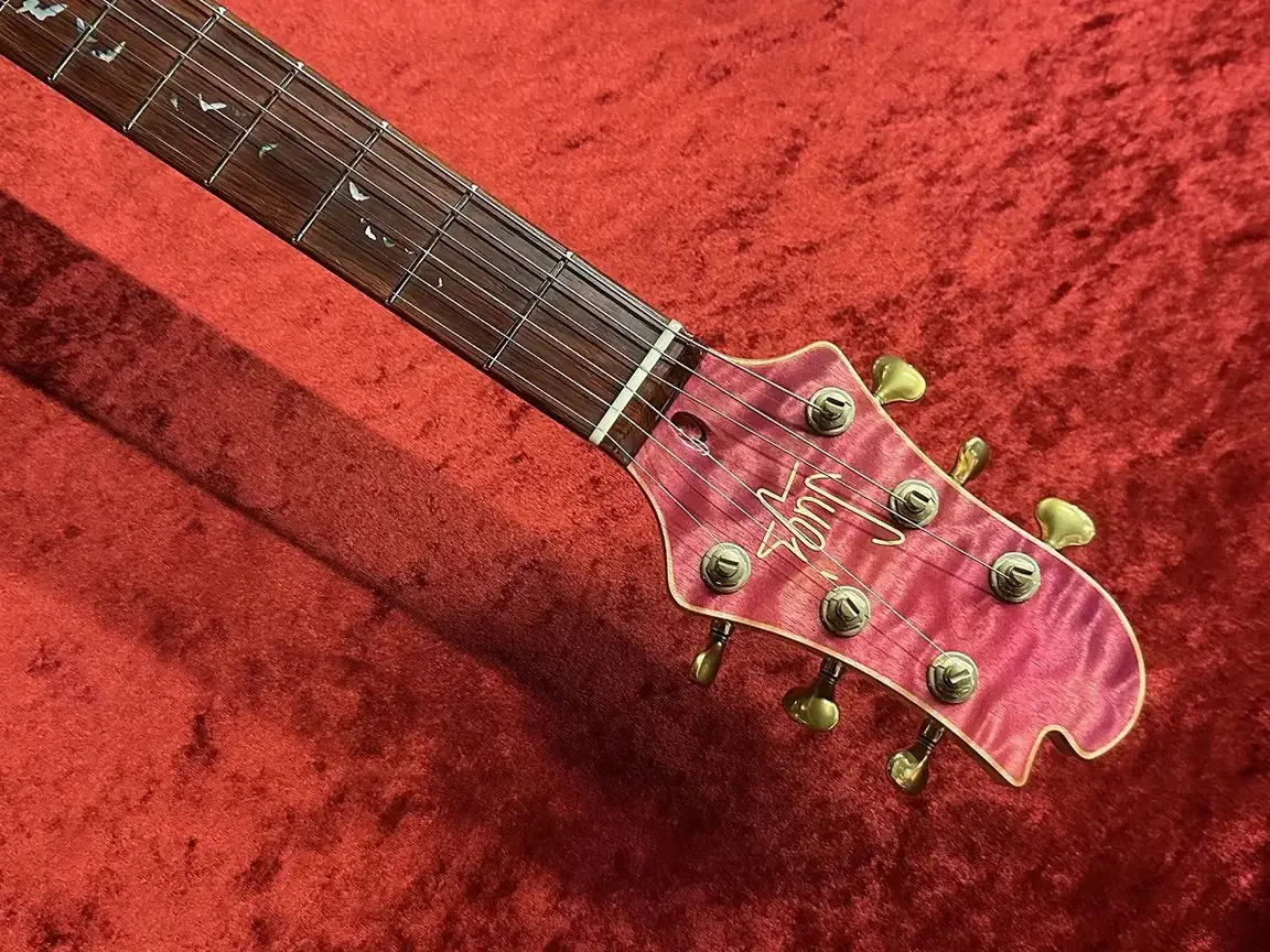 Sugi DS496C 6AQM/BEM/ASH2P · TRSP · Instrument photo 9
