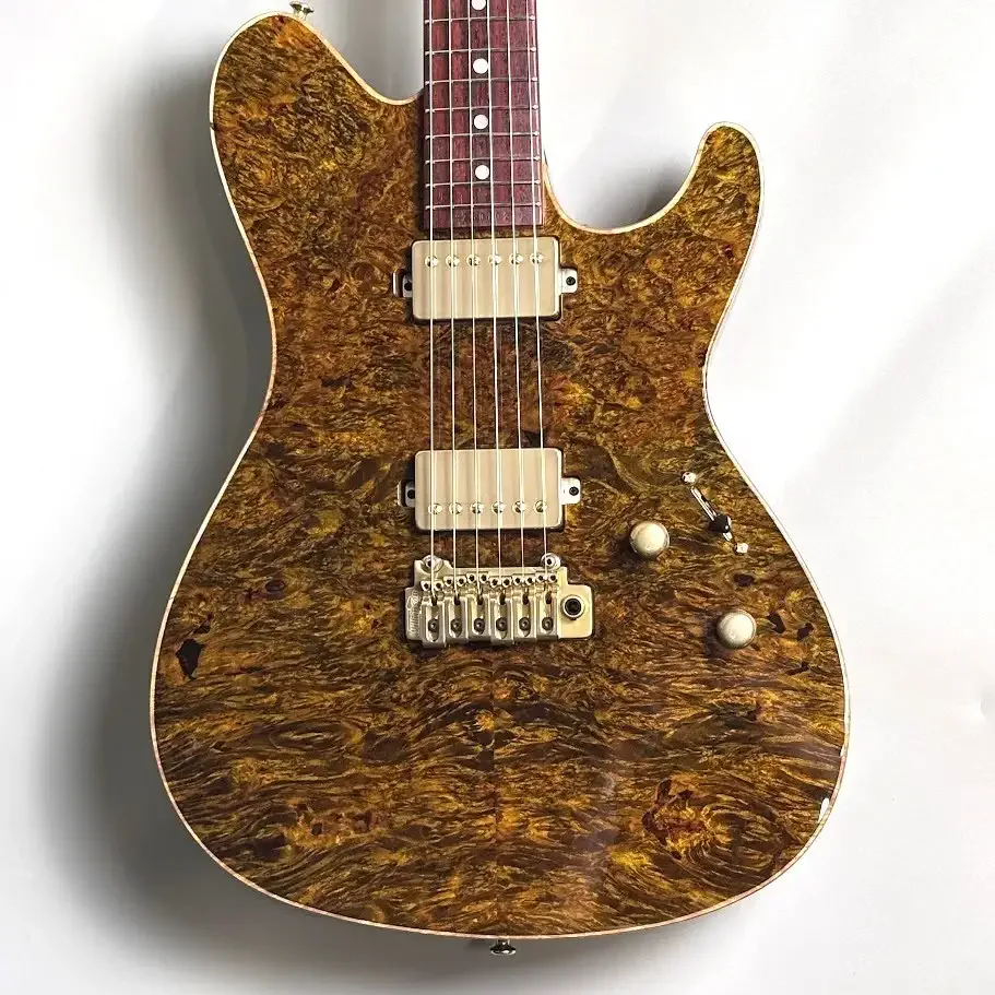 Sugi DS496C BM-PRM/HM/ASH2P · Brown Gold · Brown and gold appearance · Instrument photo 2