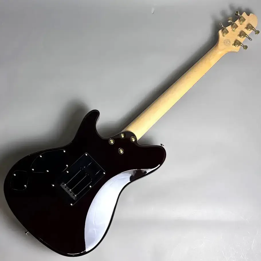 Sugi DS496C BM-PRM/HM/ASH2P · Brown Gold · Brown and gold appearance · Instrument photo 5