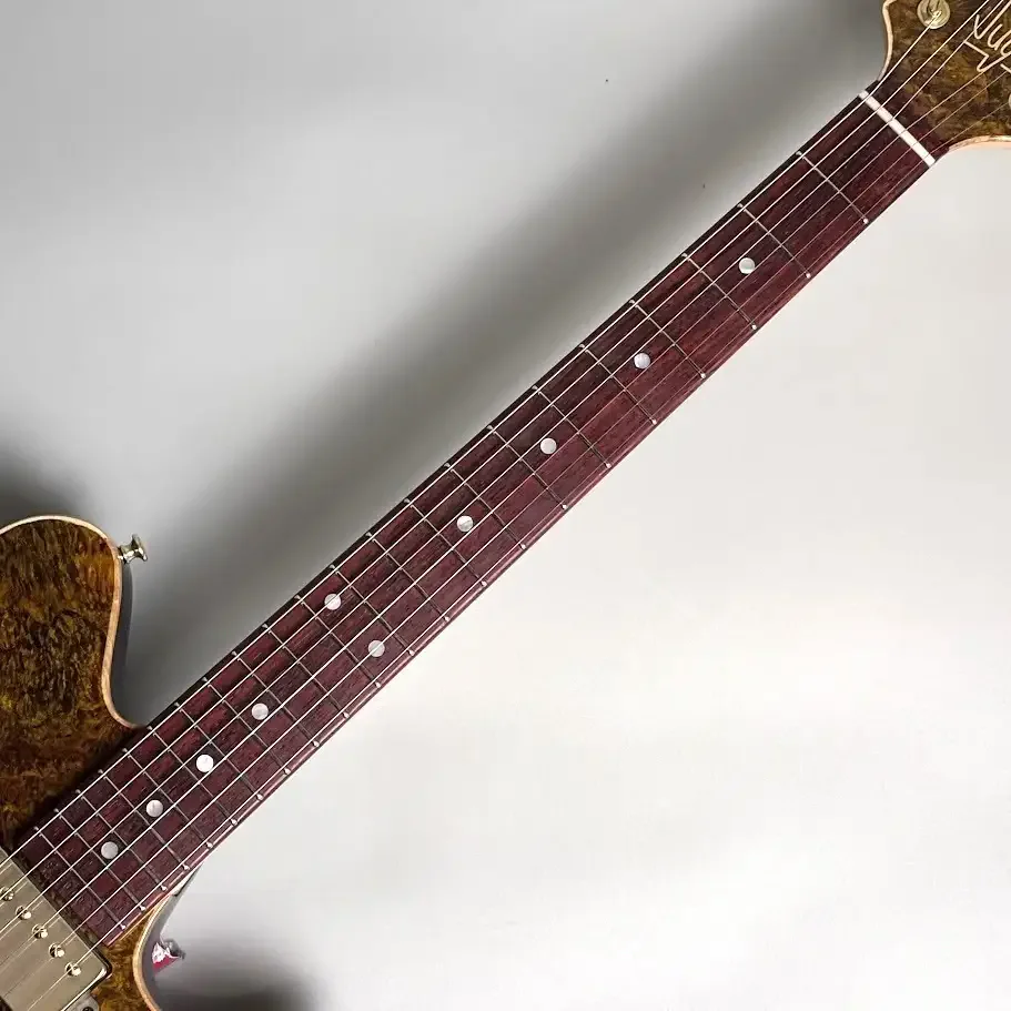 Sugi DS496C BM-PRM/HM/ASH2P · Brown Gold · Brown and gold appearance · Instrument photo 6