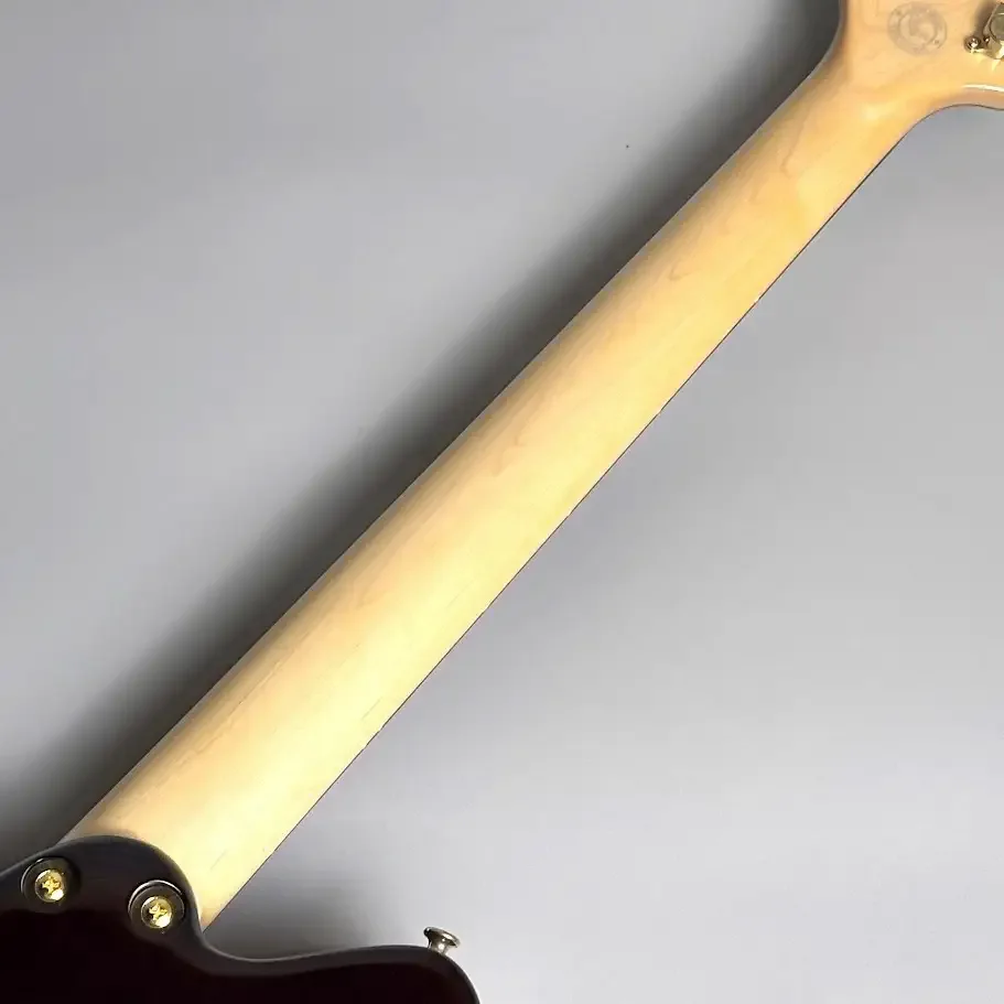 Sugi DS496C BM-PRM/HM/ASH2P · Brown Gold · Brown and gold appearance · Instrument photo 7