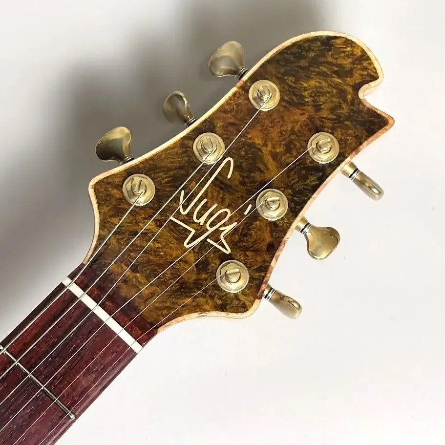 Sugi DS496C BM-PRM/HM/ASH2P · Brown Gold · Brown and gold appearance · Instrument photo 8