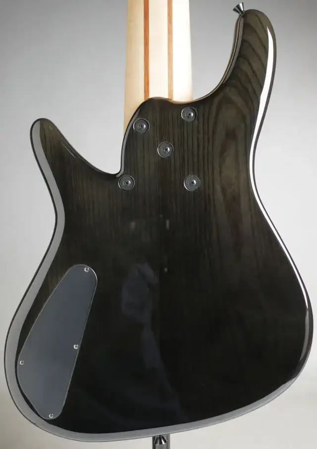 Sugi NB6IR SL-ASH · CHA · Instrument photo 3