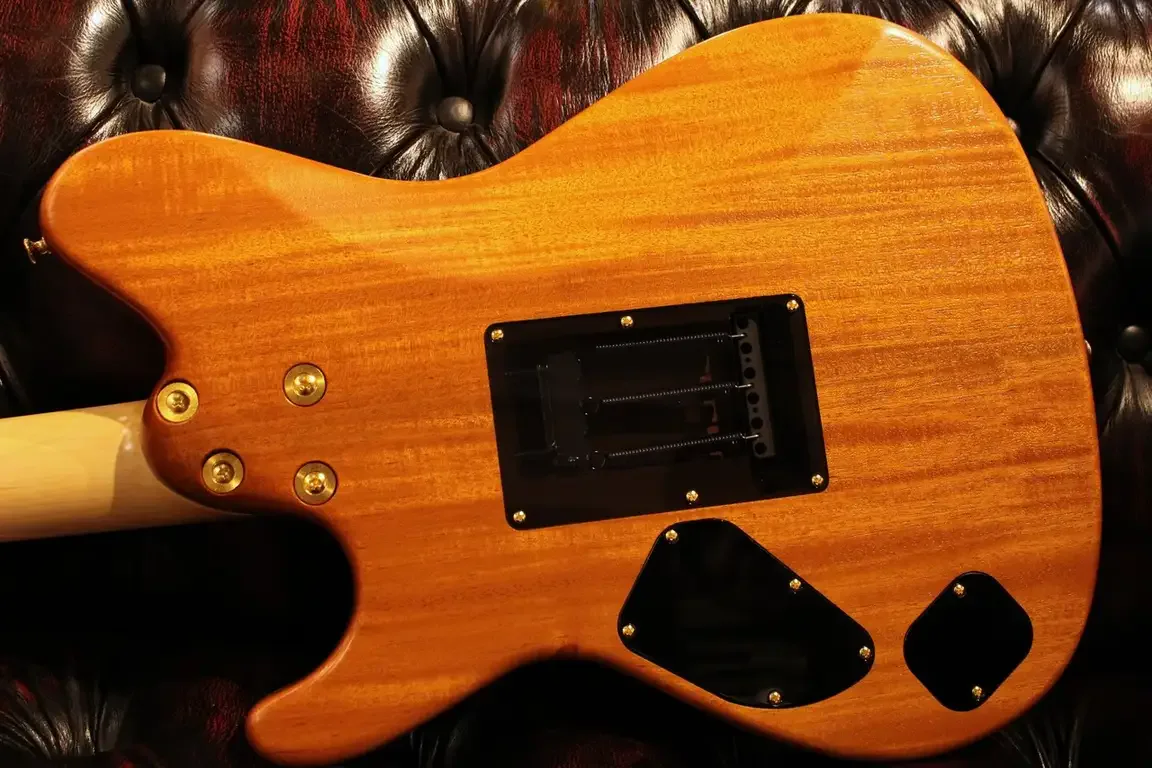 Sugi DH496IR BTW-WN-FC/HM/F-MAHO · Natural · Instrument photo 10
