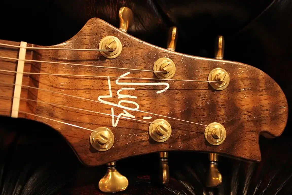 Sugi DH496IR BTW-WN-FC/HM/F-MAHO · Natural · Instrument photo 7
