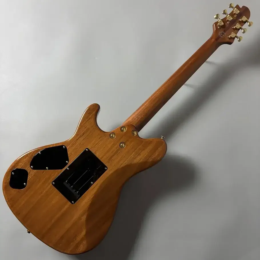 Sugi DS496C ECM/F-MAHO NECK · AMBER · Instrument photo 7